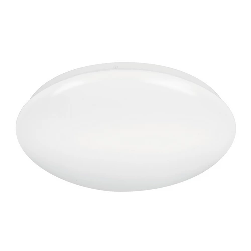 Luminario LED 22W plaf?n decorativo liso, luz de d?a, BASIC